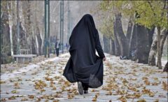 لایحه حجاب در هیأت عالی نظارت مجمع تشخیص تائید شد