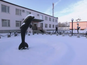 نگاهی به زندان ترسناک «دلفین سیاه» در روسیه