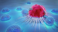محققان ایرانی تومورهای سرطانی را ظرف یک هفته از بین بردند