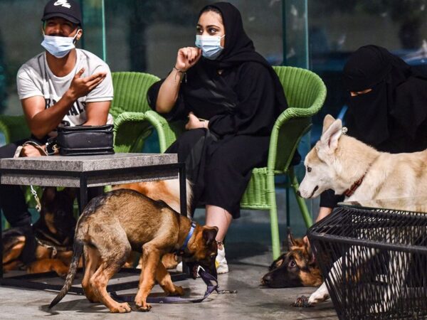 افتتاح اولین کافی شاپ مجاز به ورود سگ ها در عربستان سعودی