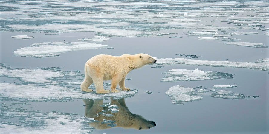 اگر ذوب یخچال های طبیعی زمین ادامه یابد چه اتفاقی خواهد افتاد؟